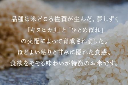 米の食味ランキング3年連続「特A」評価！ 唐津産特別栽培 夢しずく 15kg