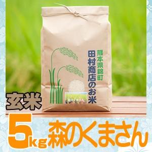 5年産　熊本県産森のくまさん玄米5ｋｇ（調整済み）