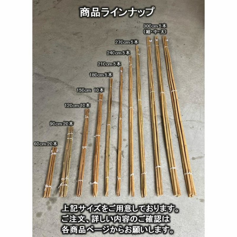 本煤竹女竹５本 銘木カタログ サラシ竹 黒竹 染スス竹 錆竹 紋竹 女竹 本煤竹 他