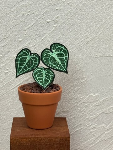 刺繡擴香小盆栽 | 克萊恩花燭