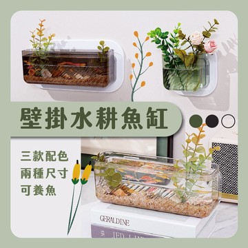 [出清賠錢價] 壁掛水耕魚缸 水耕瓶 室內水耕生態 魚缸 室內植物 花器 插花瓶 水培容器 水耕容器 小魚缸 發財樹水耕