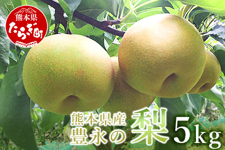 先行予約熊本県産 梨 約5kg 幸水 梨 新高 梨 新興 梨 豊水 梨 秋月 梨 秋麗 梨 果物 熊本県産 070-0592