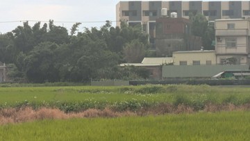 中壢山東路農地【和平不動產】｜桃園市中壢區山上段
