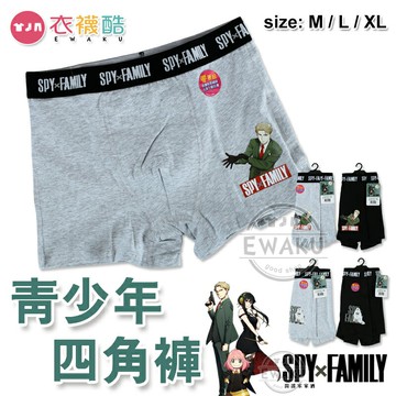 [衣襪酷] 間諜家家酒 SPYxFAMILY 洛伊德/彭德 青少年內褲 大男童內褲 男內褲 四角褲