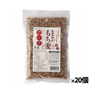 愛媛県産もち麦 300g x20個(国内産 愛媛県産 食物繊維たっぷり ご飯に混ぜて  お料理にも 和食)