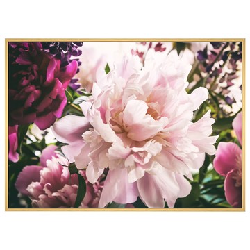 Boluo 菠蘿選畫所 芍藥一朵留芳菲 40 x 30cm 框畫 優雅居家裝飾  木色