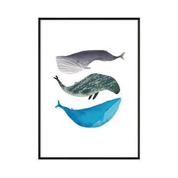 有框畫 白日夢小鯨魚  70 x 50cm  黑色