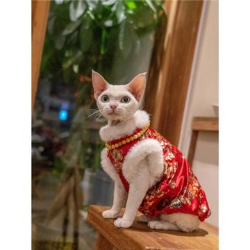 GINGERAIN 貓衣服金絲絨旗袍防舔抗起球新年加絨氣質馬甲無毛德文