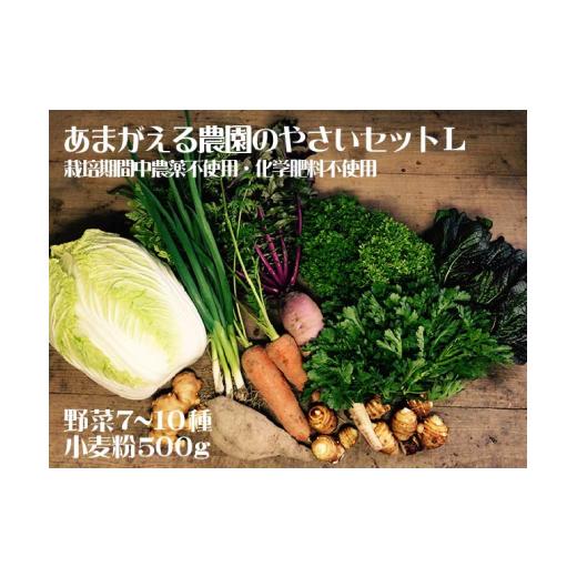 ふるさと納税 高知県 越知町 あまがえる農園のやさいセットL（栽培期間中農薬・化学肥料不使用）