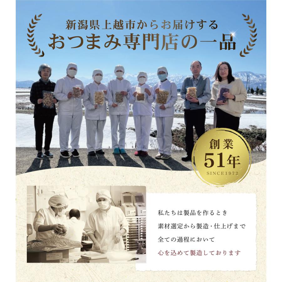 おつまみ 珍味 するめ いか さきいか 干物 乾き物 酒の肴 業務用 訳あり 大容量500gサイズ 一夜干いか 500g