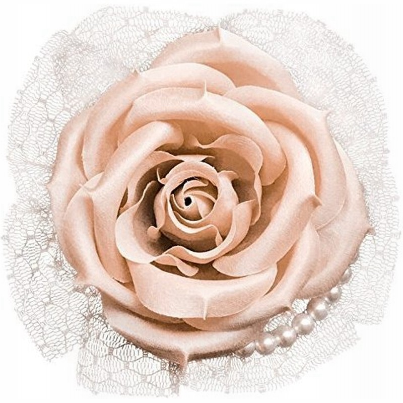 Ajmstyle ローズ コサージュ パール レース バラ 髪飾り 2way クリップ フォーマル ブローチ ヘアアクセサリー ケース 入り 338 ライトピンク 通販 Lineポイント最大0 5 Get Lineショッピング
