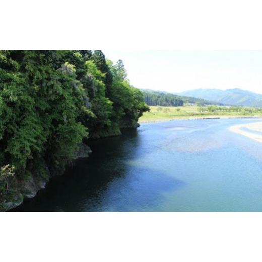 ふるさと納税 滋賀県 高島市 ◆近江牛シャトーブリアンロース 宝牧場