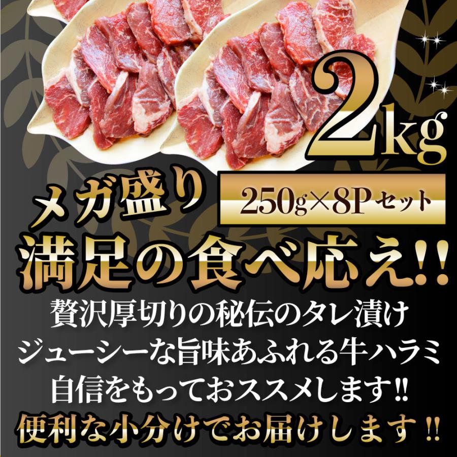 牛ハラミ焼肉（タレ漬け）2kg（250g×8） タレ 赤身 はらみ 秘伝 焼肉 やきにく ハラミ アウトドア お家焼肉 BBQ キャンプ キャンプ飯 まとめ買い割引