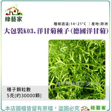 【綠藝家】【蔬菜之家滿額免運】大包裝K03.洋甘菊種子(德國洋甘菊) 5克(約30000顆) (香草種子)