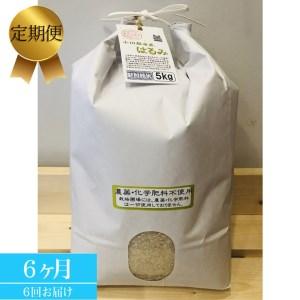 ふるさと納税  志村屋米穀店 令和5年産新米小田原市産 農薬・化学肥料不使用はるみ 新米 5kg ＜出荷時期：10月中旬より順次.. 神奈川県小田原市