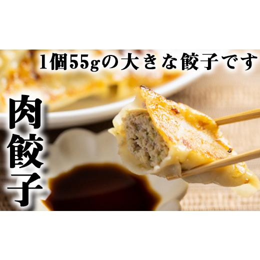 ふるさと納税 岩手県 雫石町 冷凍生餃子  ／ 餃子 ぎょうざ ギョウザ ギョーザ 中華惣菜