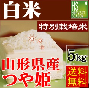 [特価] 白米 特別栽培米 山形県産つや姫5kg 令和4年産 [翌日配送] 送料無料 北海道沖縄へは別途送料760円 ※お取り置きは12 31到着迄