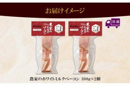 農家のホワイトミルクベーコン 300g 2個 セット ベーコン 白いベーコン 豚肉 ポーク 国産 ブロック 厚切り おつまみ BBQ ギフト バルナバハム バルナバフーズ 送料無料 北海道 札幌市