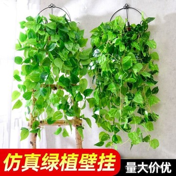 仿真綠植壁掛 仿真綠蘿藤條 長藤植物 假花藤條 室內綠植 墻麵裝飾 垂弔盆栽 人造綠植 綠葉 掛壁植物 傢庭掛飾 2LF