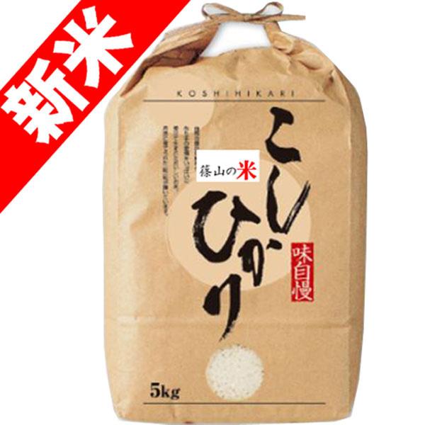 新米 令和5年産 お米 5kg 篠山コシヒカリ 兵庫県 丹波篠山産 玄米 白米 7分づき 5分づき 3分づき 出荷日精米 送料無料