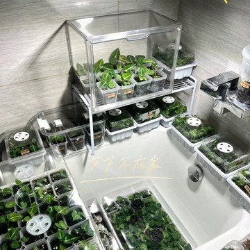 免運 可開票 植物悶養箱熱帶植物保溫箱家庭小溫室暖棚陽臺花房育苗箱保濕防雨 快速出貨