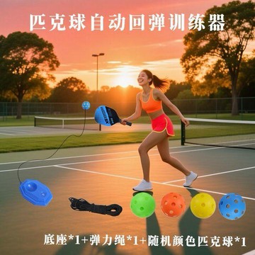 桃園出貨✨匹克球拍Pickleball戶外訓練運動兒童成人板羽球單人室內訓練裝備