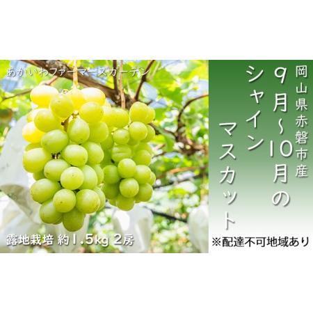 ふるさと納税 ぶどう 2024年 先行予約 シャインマスカット 約1.5kg 2房 9月〜10月 葡萄 岡山県 赤磐市産 フルーツ 果物 岡山県赤磐市