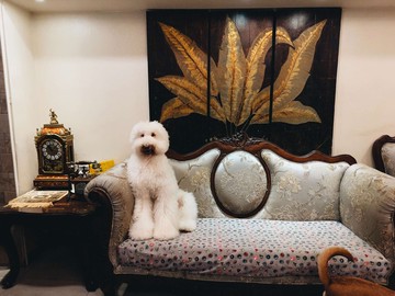 住商珮琦～信義安和捷運面公園電梯四房｜台北市大安區延吉街