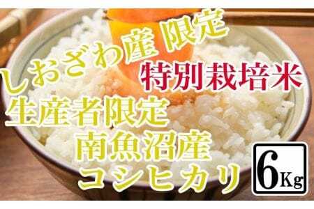 特別栽培 しおざわ産限定 生産者限定 南魚沼産コシヒカリ