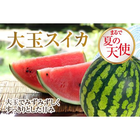 ふるさと納税  アンデスメロン 2玉 ＋ 大玉スイカ 1玉 ＋ 坂井市産新米コシヒカリ 5kg 【2024年6月より順次発.. 福井県坂井市