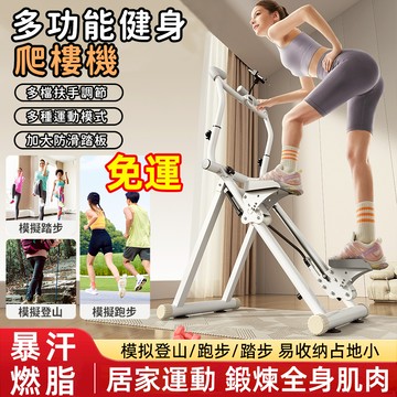 🏆免運+6個月免費保固🏆攀爬登山健身機 踏步機 登山機 家用爬樓機 健腹機 燃脂瘦身 運動器材 健步機 健身機 登高機
