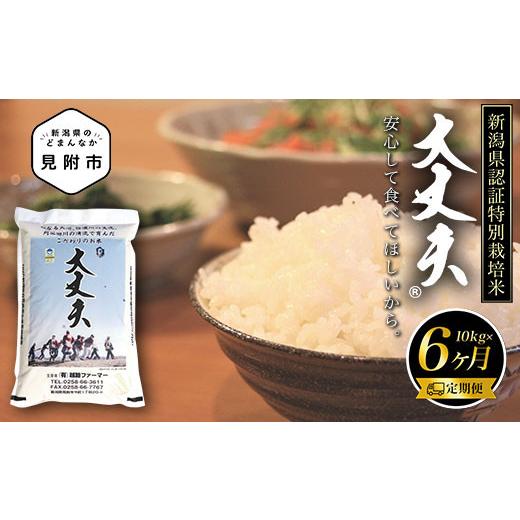 ふるさと納税 新潟県 見附市 令和5年産新潟産コシヒカリ（県認証特別栽培米）「大丈夫」精米10kg