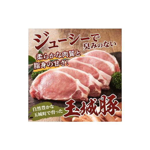 ふるさと納税 三重県 玉城町 玉城豚ロースとんてきセット 600g(150g×4枚)