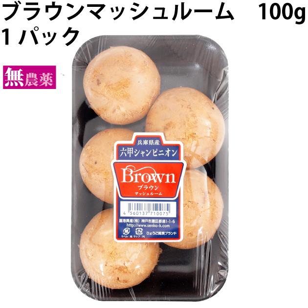 ブラウンマッシュルーム　100g　1パック  送料別 ポイント消化 食品