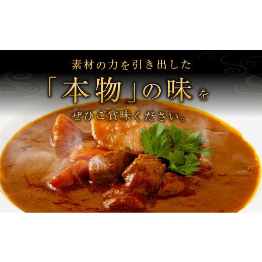 ふるさと納税 宮崎県 えびの市 自社牧場肉と国産野菜のビーフシチュー 170g×5パック デミグラスソース