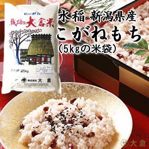 新潟県産こがねもち米（令和5年産）1kg 