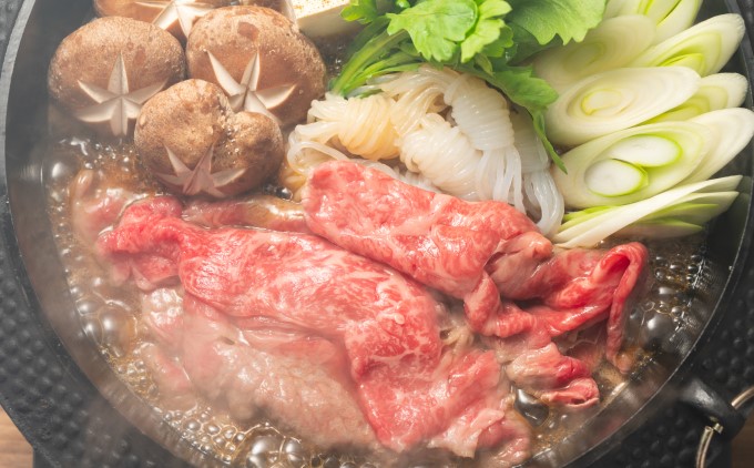 限定 牛肉 博多和牛 A4～A5 切落とし 合計10kg（500g×20p）肩ロース 赤身 バラ カルビ 配送不可：離島