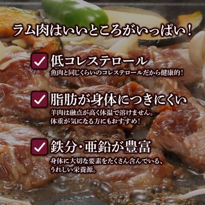 ふるさと納税 千歳市 味付特上ラムジンギスカンセット 300g×4 羊肉 焼肉 お肉 味付き BBQ ＜肉の山本＞