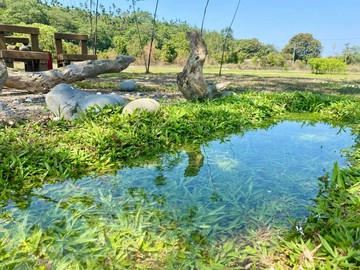 專約-屏東高樹鄉賽嘉6分多有果嶺園藝農地｜屏東縣高樹鄉廣興段