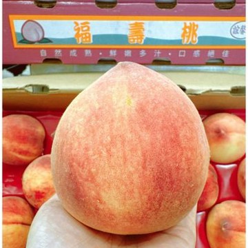 美國 加州 誼馨園 桃仙子 糖巨人 水蜜桃 4顆透明盒裝｜美國加州水蜜桃
