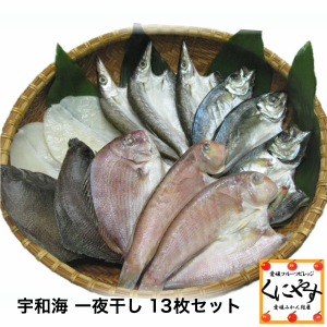 宇和海朝獲れ鮮魚の「一夜干し13枚セット」（真鯛1枚、メイタカレイ