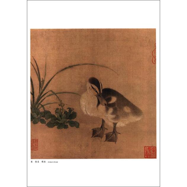 宋人花鳥冊頁1　中国古代絵画精品集　中国絵画 宋人花#40479;册#39029;1　中国古代#32472;画精品集