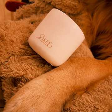 【Sakido】馬油精萃香氛蠟燭 0107 帶我出去玩 狗狗專屬 木質花香