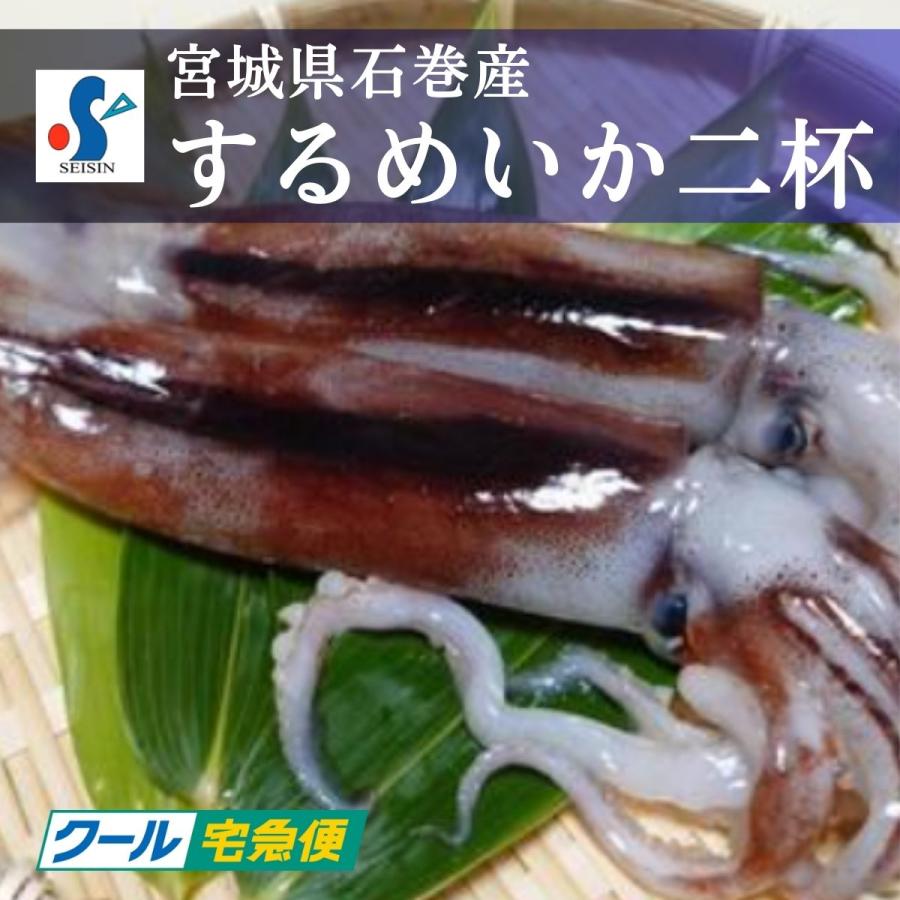 するめいか2杯 料理教室（お魚Cooking講座）で使用している新鮮なスルメイカ 冷凍