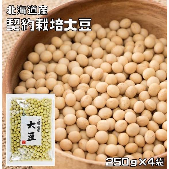 豆力　契約栽培北海道産　大豆　1kg