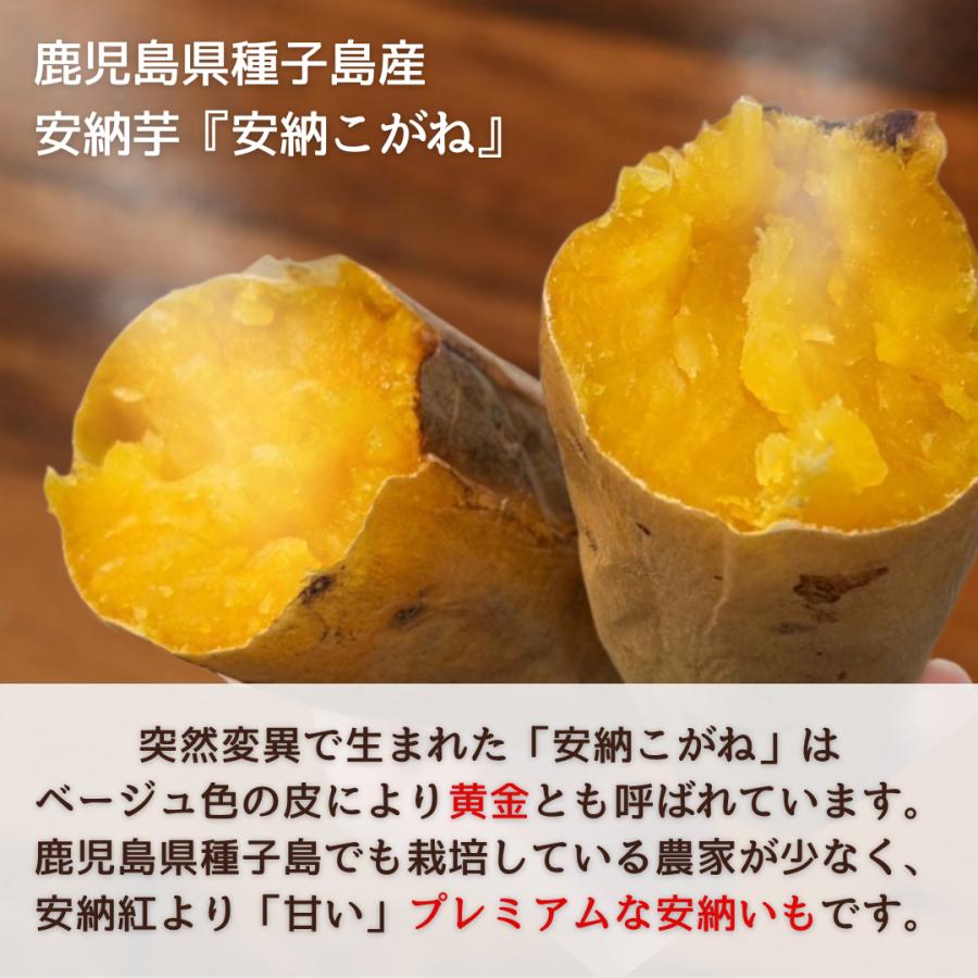 食べ比べ安納芋セット 箱込2kg S〜Lサイズ 安納紅 安納こがね 鹿児島県種子島産 送料無料 蜜芋 生芋 安納いも さつまいも