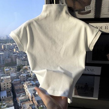 春秋純棉半高領短袖T恤女立領純色疊穿內搭設計感通勤打底衫上衣
