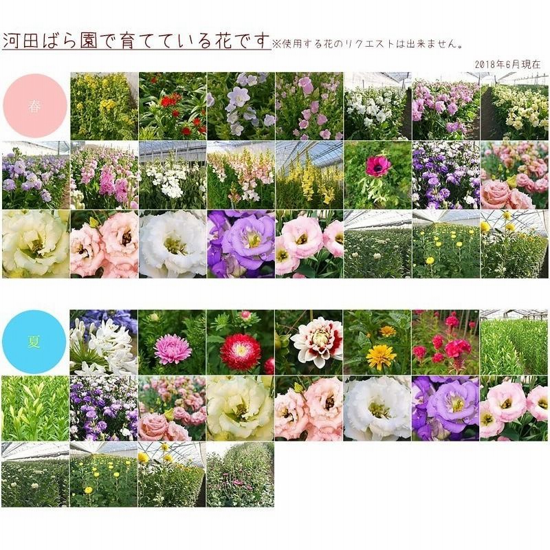 花 お供え お悔やみ 法事 命日 仏花 ペット お供え物 月命日 一周忌 三回忌 七回忌 四十九日 月命日 法要 供花 フラワーアレンジメント 花農家直送  送料無料 通販 LINEポイント最大0.5%GET LINEショッピング
