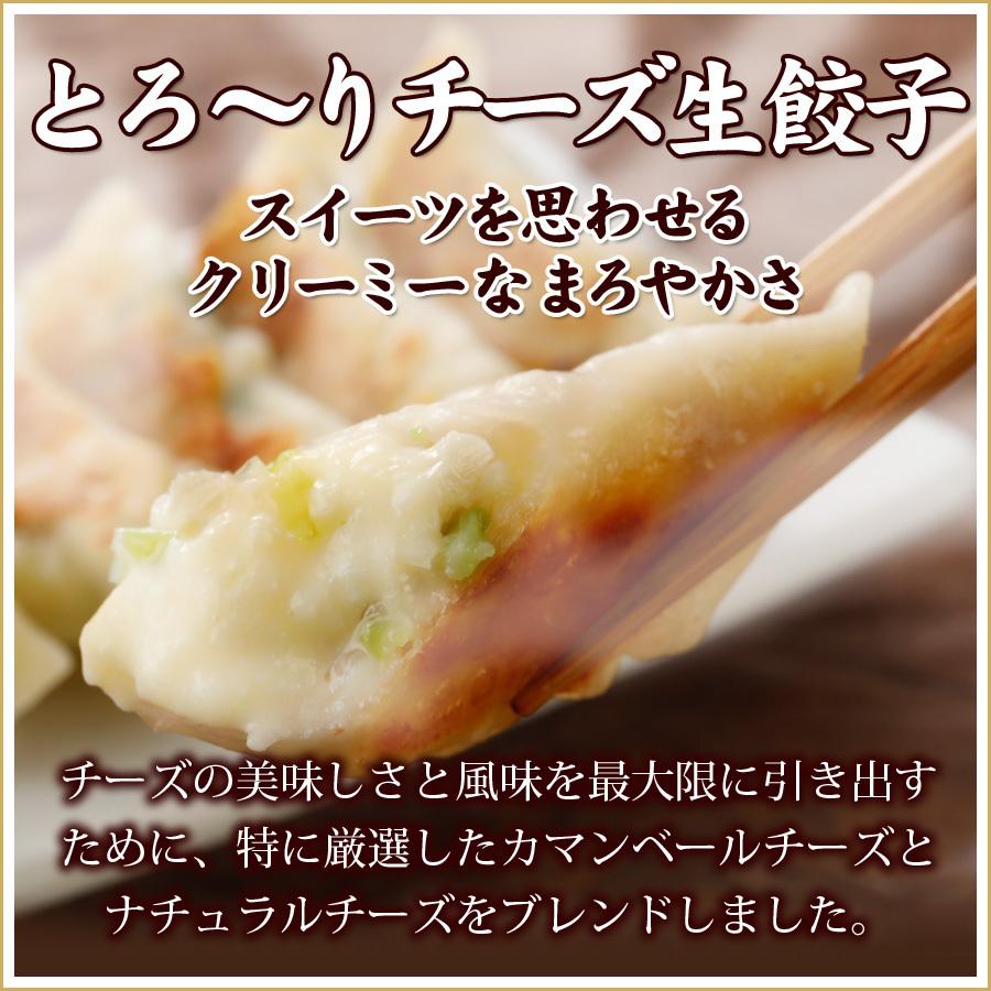 送料無料 詰め合わせ 冷凍餃子  生餃子 餃子 ぎょうざ ギョーザ ギョウザ 冷凍生餃子 お取り寄せ セット 冷凍食品 グルメ