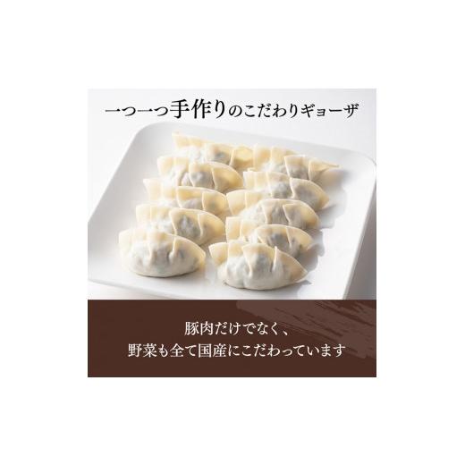 ふるさと納税 宮崎県 川南町 南九州産黒豚「手作り黒豚ギョーザセット」６パック